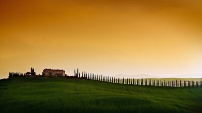 Tuscany Countryside 