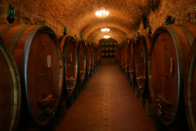 Wine cellar full of barrels of wine 1