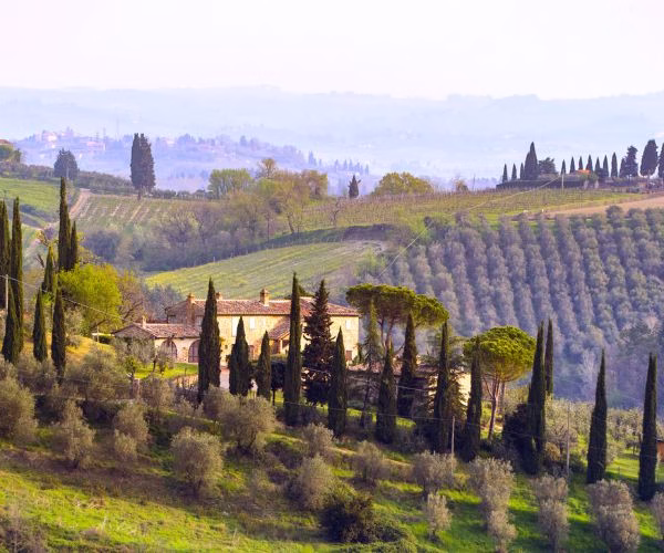 Chianti Wine