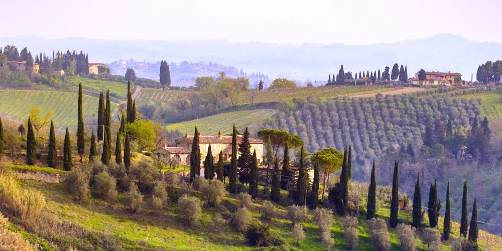 Chianti Wine